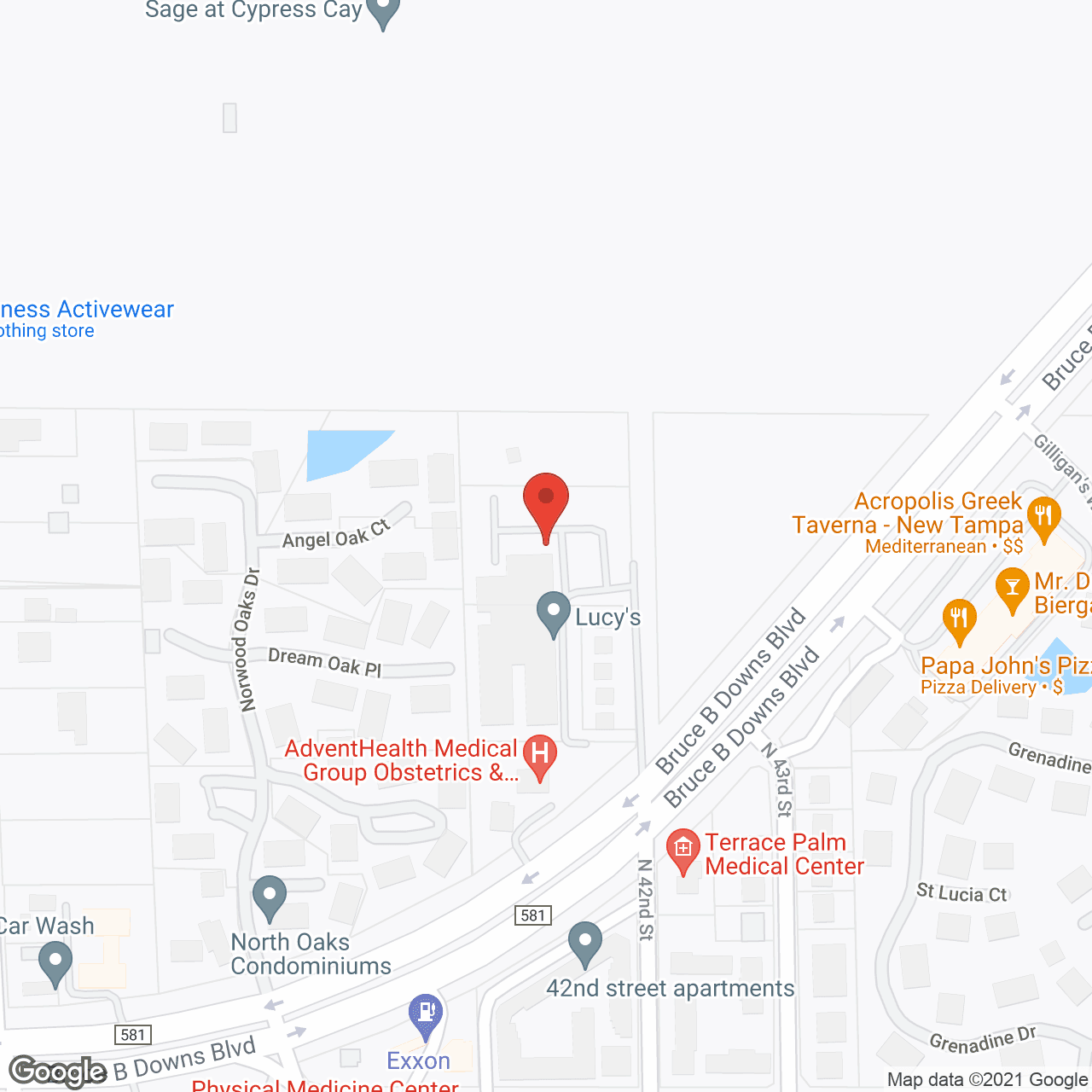 Angels Senior Living At New Tampa LLC in google map