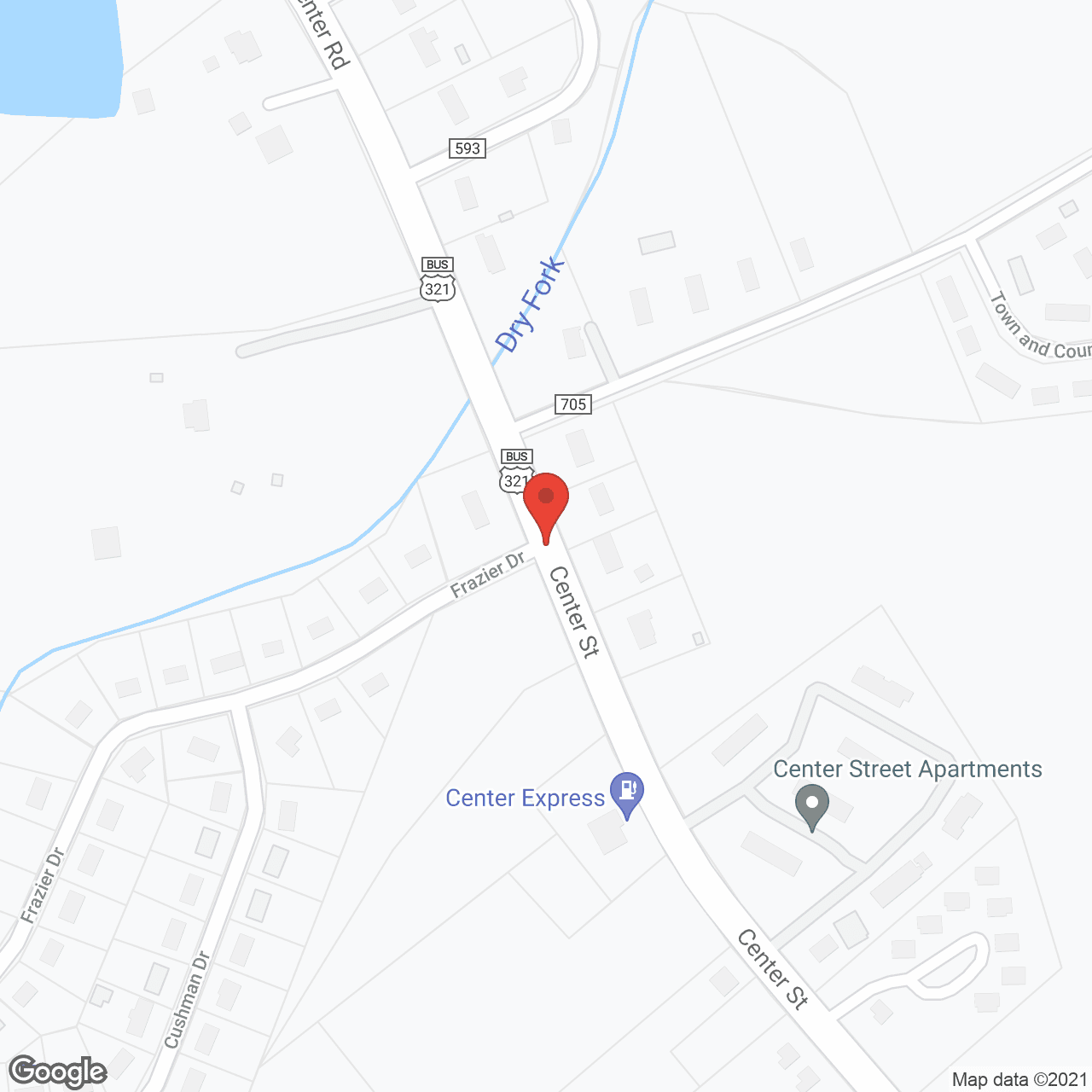 Palmetto Village of Chester in google map